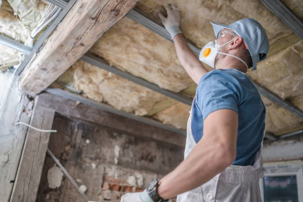 Best Insulation Removal  in Madison Center, CT
